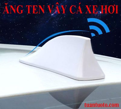 Ăng Ten Vây Cá Gắn Trên Ô Tô